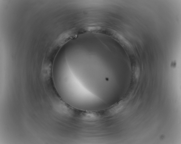 X0000095120475200712071244