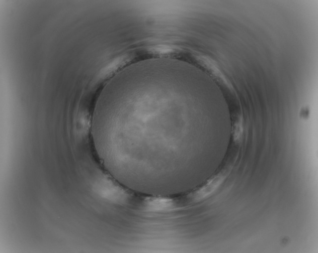 X0000095120476200712071244