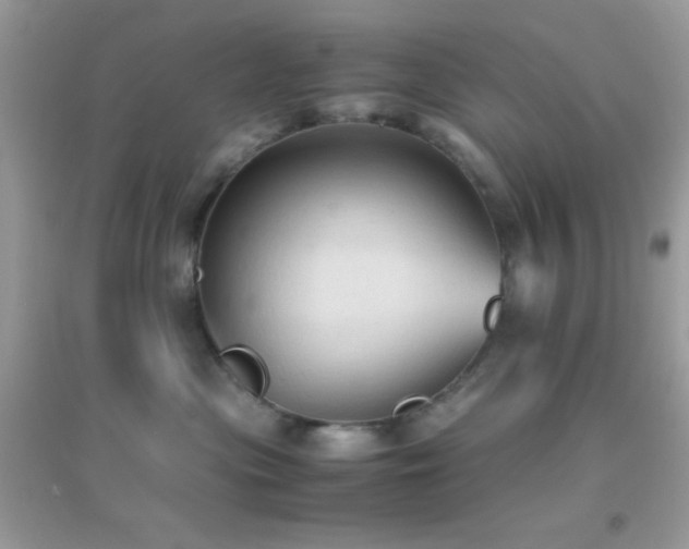 X0000095120477200712071244