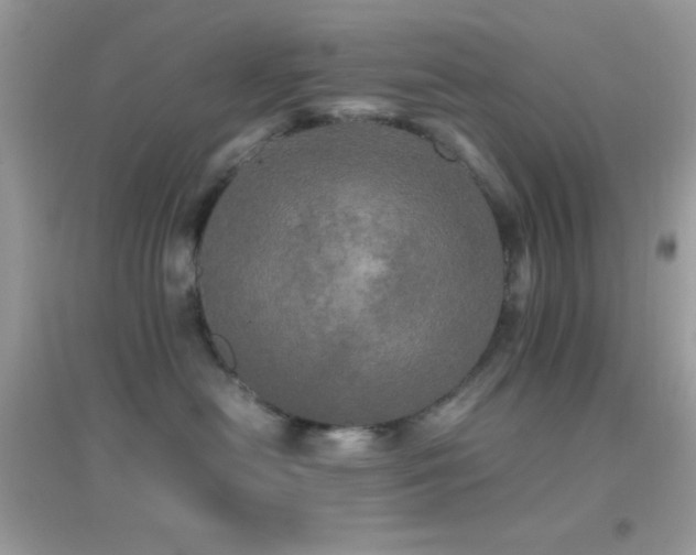 X0000095120478200712071244