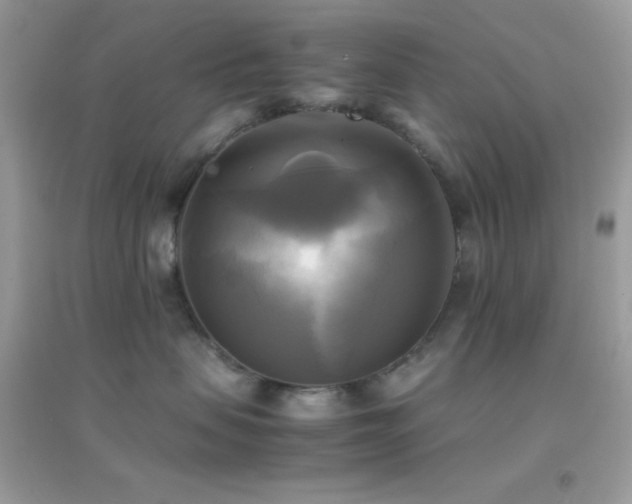 X0000095120479200712071244