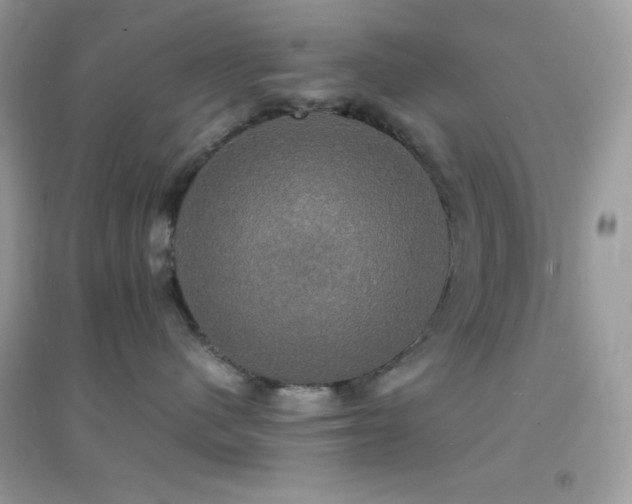 X0000095120480200712071244