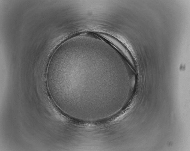 X0000095120481200712071243