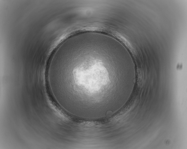 X0000095120482200712071243