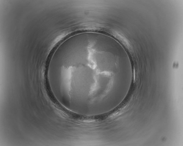 X0000095120483200712071243