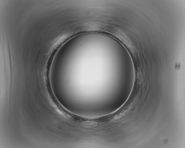 X0000095120485200712071243