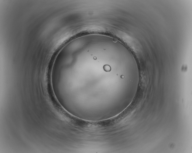 X0000095120487200712071243
