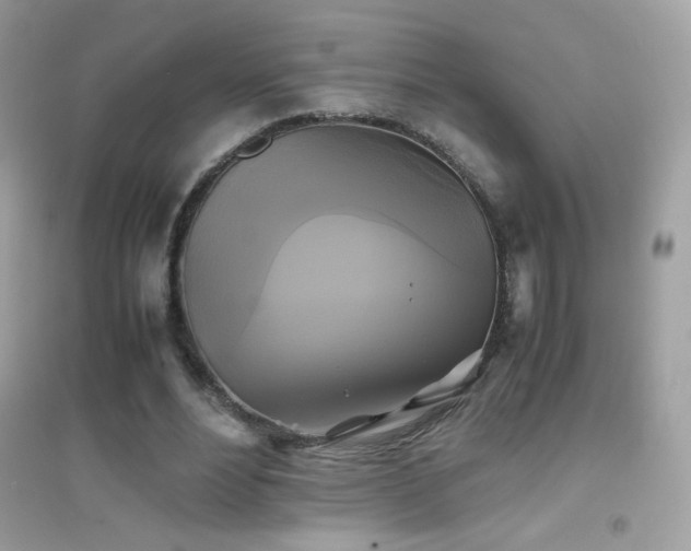 X0000095120488200712071243