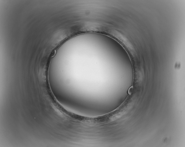 X0000095120489200712071243