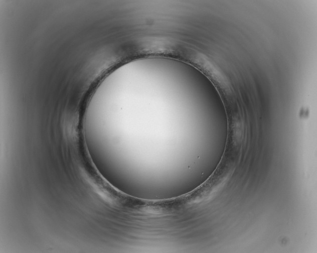 X0000095120490200712071243