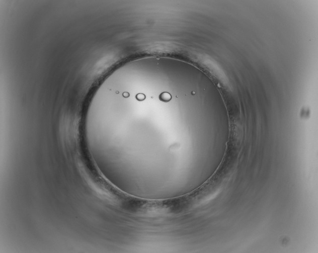 X0000095120491200712071243