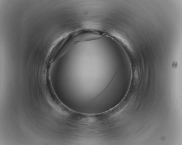 X0000095120492200712071243