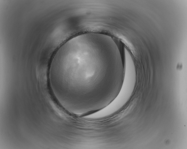 X0000095120493200712071243