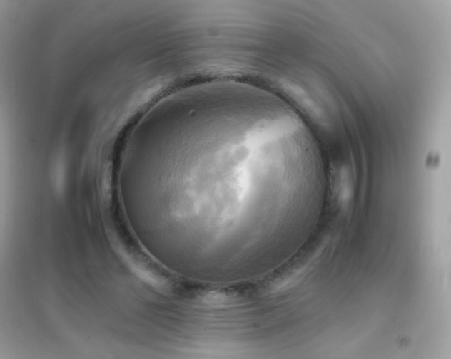 X0000095120494200712071243