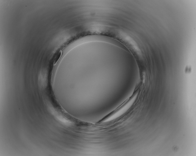 X0000095120496200712071243