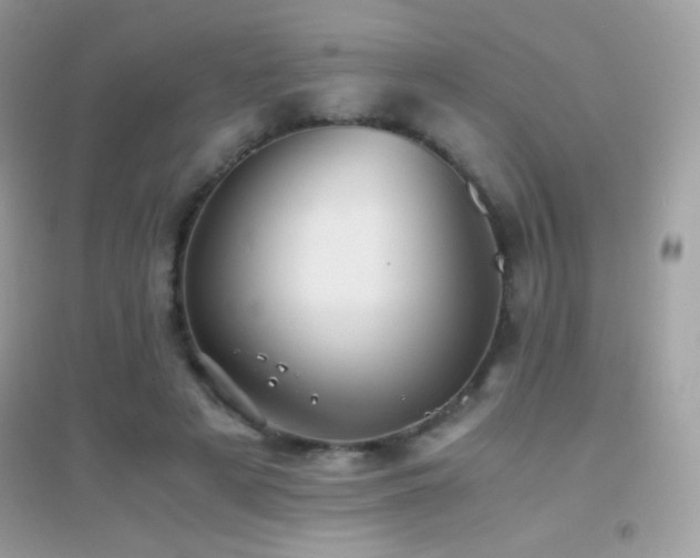 X0000095120497200712071243