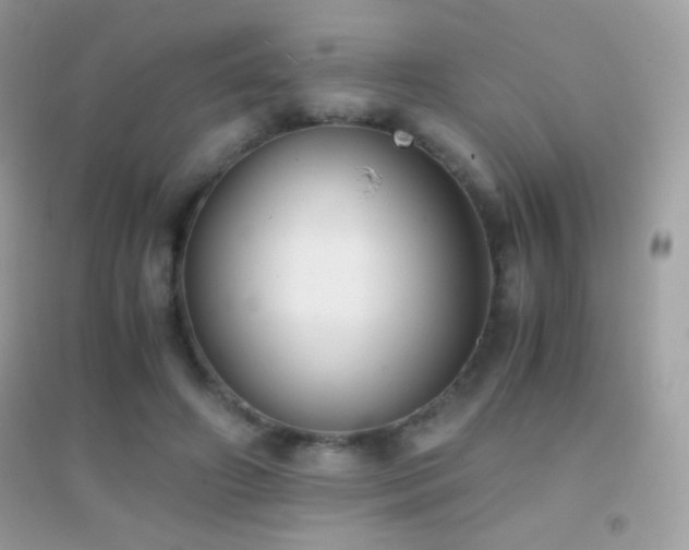 X0000095120498200712071243