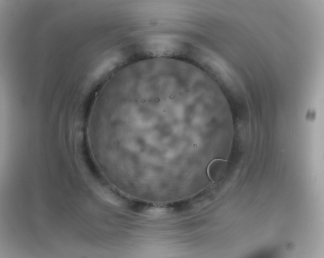 X0000095120499200712071243