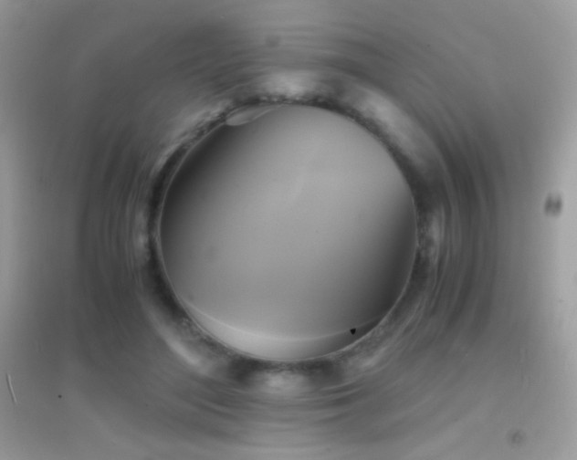 X0000095120500200712071243