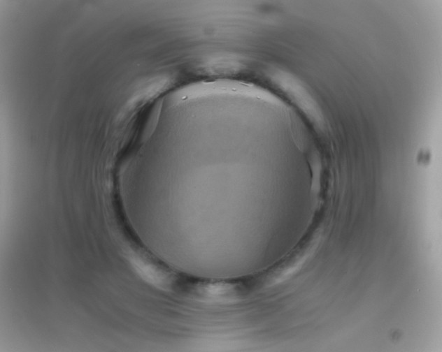 X0000095120501200712071243