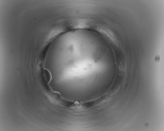 X0000095120503200712071243