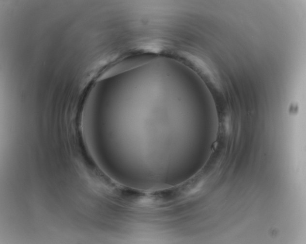 X0000095120504200712071243
