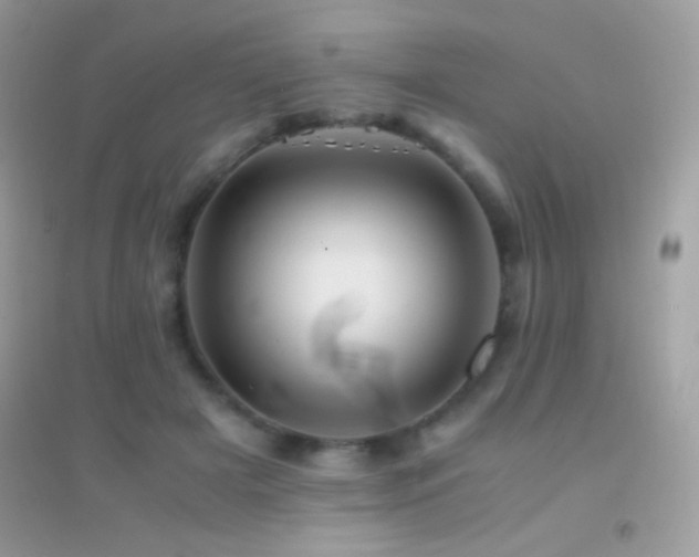 X0000095120505200712071243