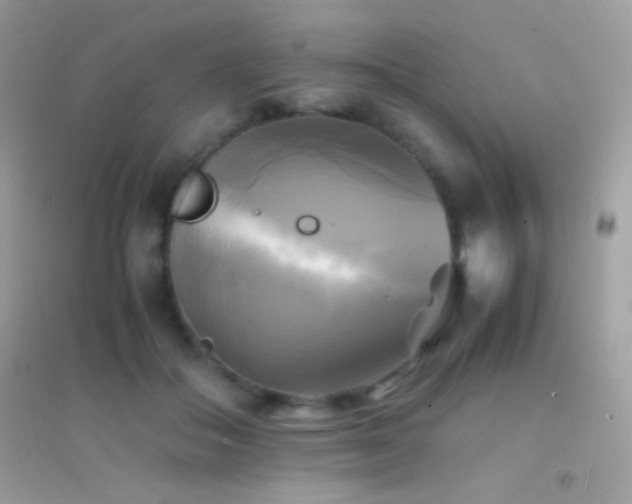 X0000095120506200712071243
