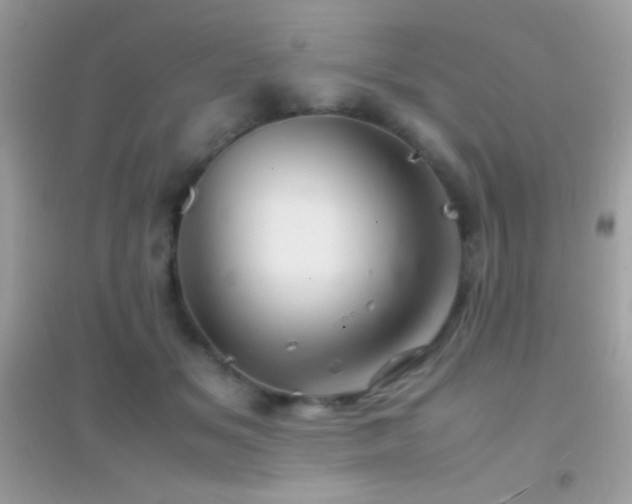 X0000095120509200712071243
