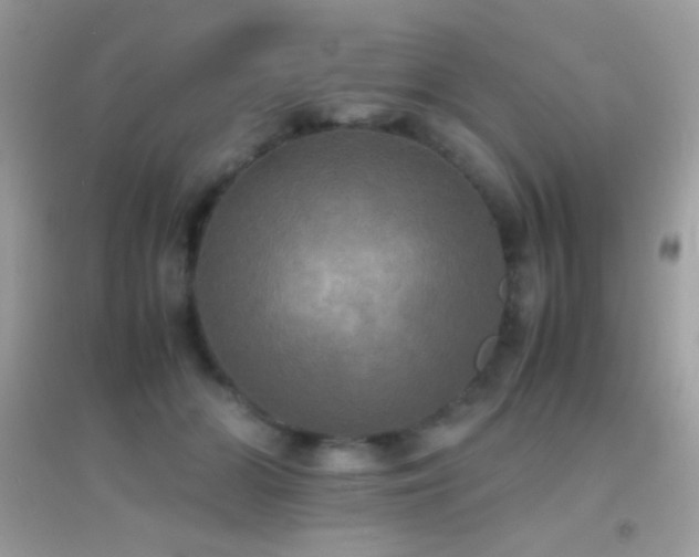 X0000095120510200712071243