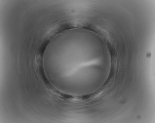 X0000095120511200712071243
