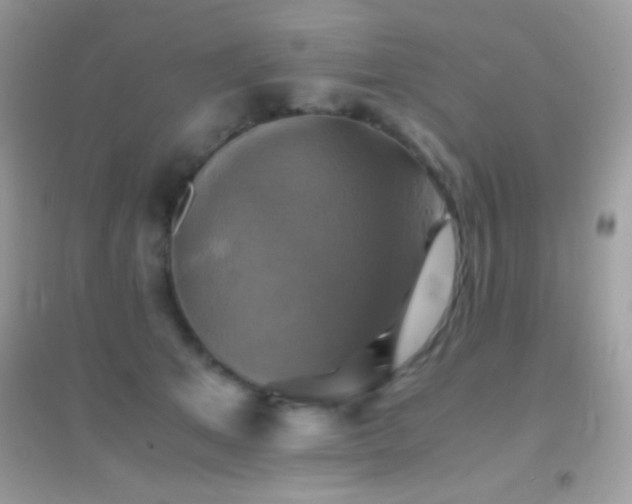 X0000095120513200712071243