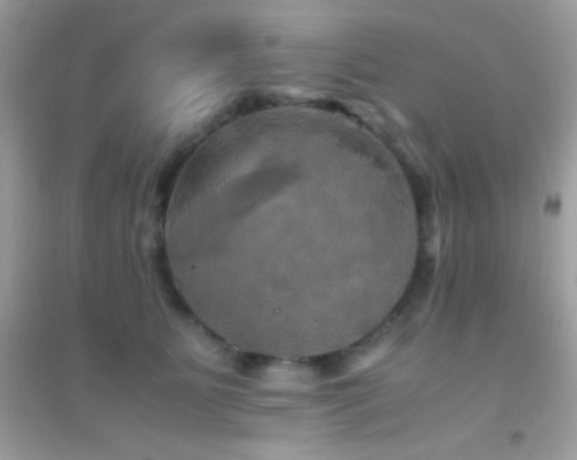 X0000095120515200712071243