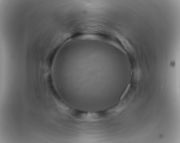 X0000095120517200712071243