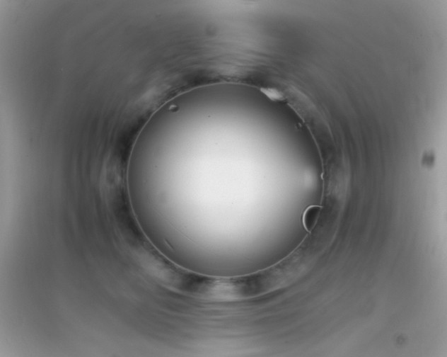 X0000095120518200712071243