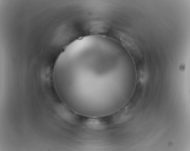 X0000095120519200712071243