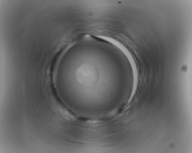 X0000095120520200712071243