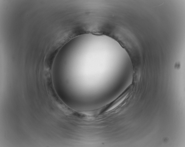 X0000095120521200712071243
