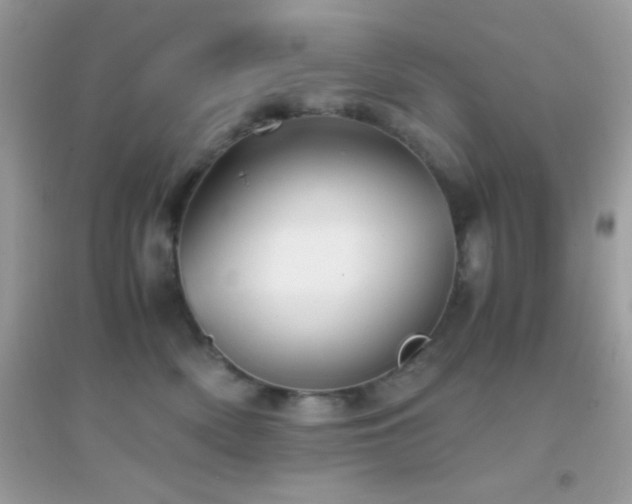 X0000095120522200712071243