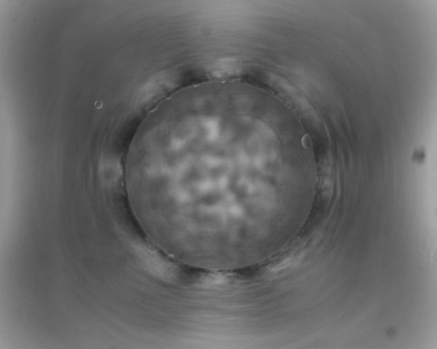 X0000095120523200712071243