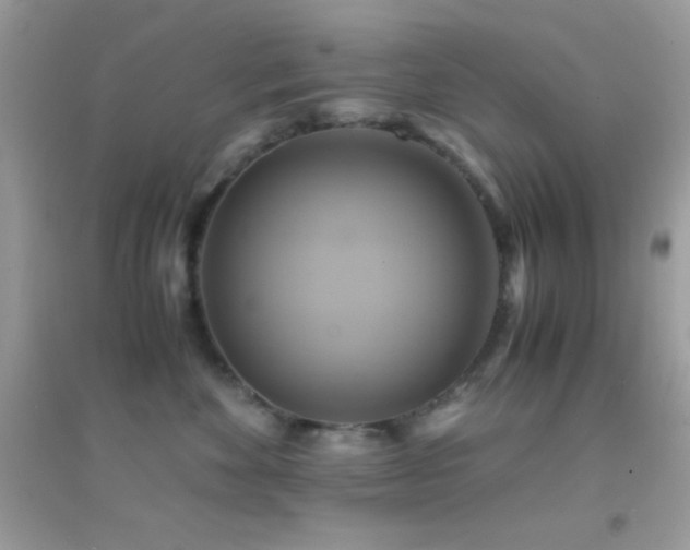 X0000095120524200712071243