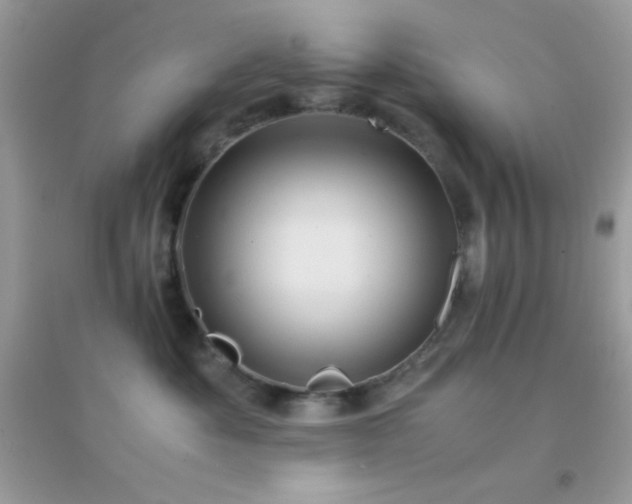 X0000095120525200712071243