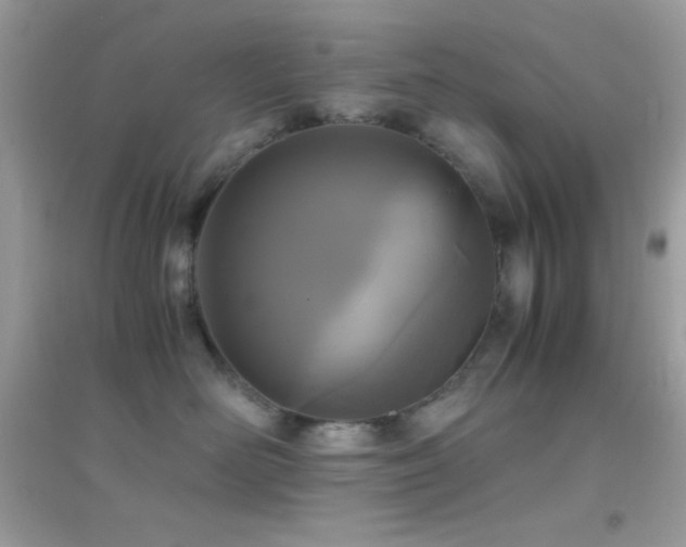 X0000095120526200712071243