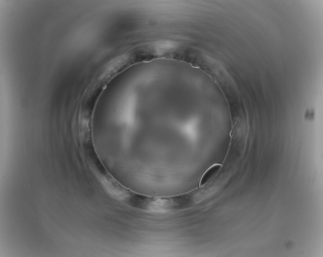 X0000095120527200712071243