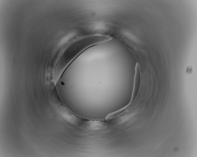 X0000095120528200712071243