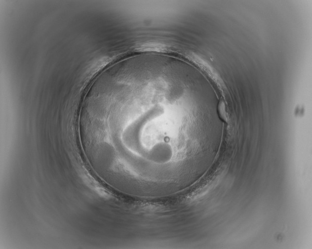 X0000095120529200712071242