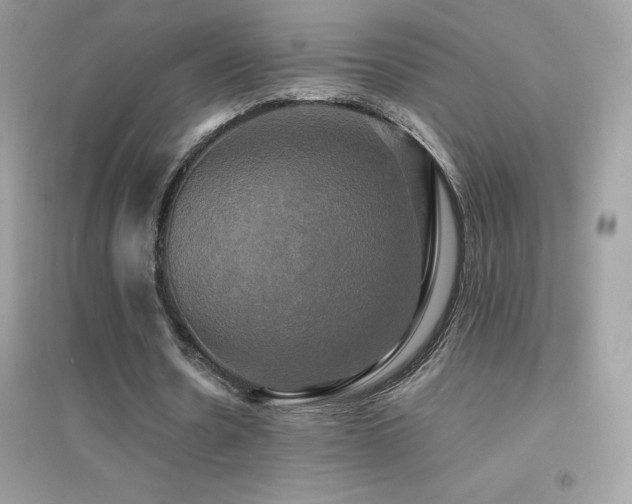 X0000095120530200712071242
