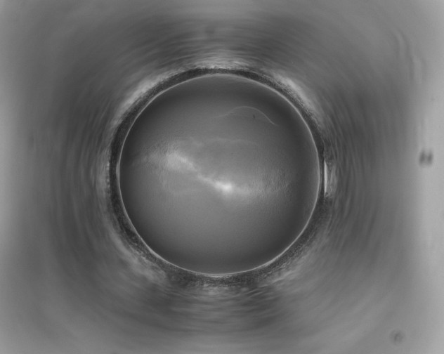 X0000095120531200712071242