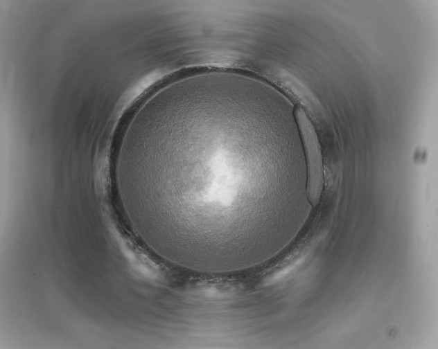 X0000095120532200712071242