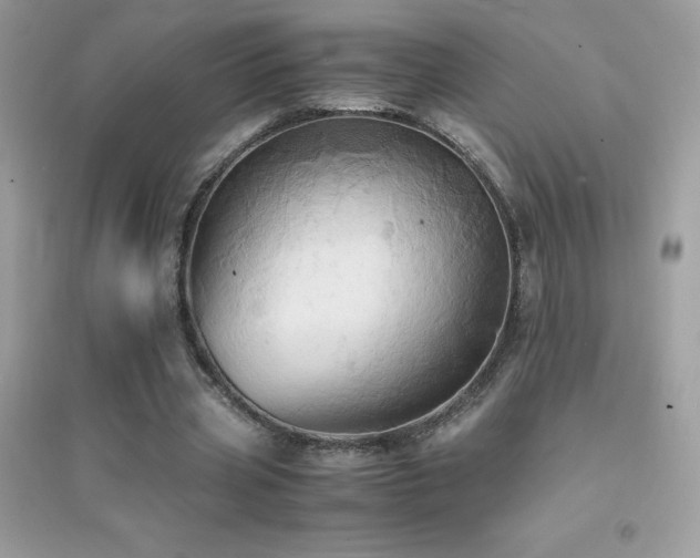X0000095120533200712071242